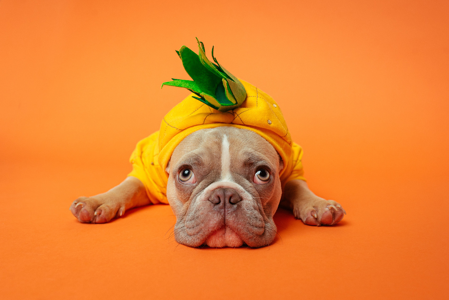 brand mascot